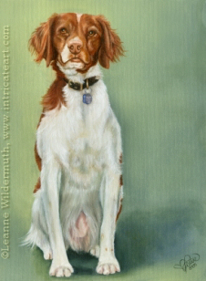 custom dog art oil painting ellie brittany spaniel pet art