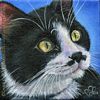 Custom Cat Portrait Rex tuxedo Groucho Marx oil painting original traditional realistic fine art