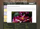 Lisa's Chaos custom blog design wordpress theme
