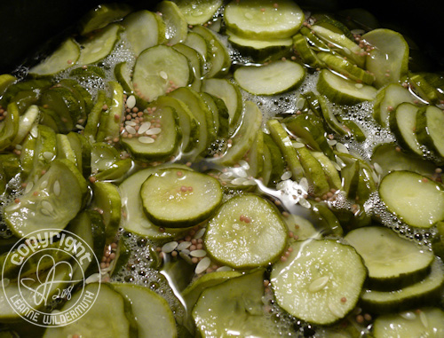 bread and butter pickles cucumber garden leanne wildermuth bread and butter pickles cucumber garden leanne wildermuth